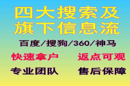 搜索引擎营销（SEM）的精准投放技巧案例